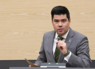 Plantean sanciones por impedir el acceso a lugares con perros guía