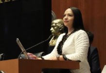 Lizeth Sánchez afirma que PT puede contender solo en 2027