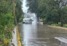 Lluvia atípica en la sierra nororiental deja inundaciones y árboles caídos