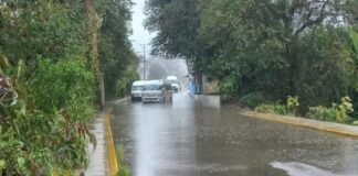 Lluvia atípica en la sierra nororiental deja inundaciones y árboles caídos