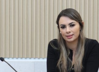 Diputada pide revisar sanciones por vidrios polarizados en Puebla