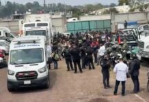 Rescatan a 229 migrantes hacinados dentro de tráiler en Veracruz