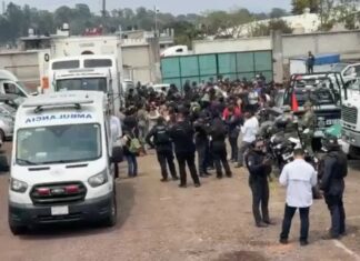 Rescatan a 229 migrantes hacinados dentro de tráiler en Veracruz