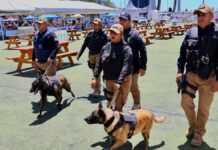 San Andrés Cholula reporta saldo blanco en el Festival Equinoccio 2026