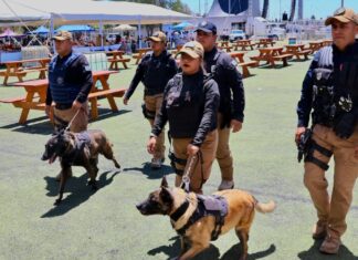 San Andrés Cholula reporta saldo blanco en el Festival Equinoccio 2026