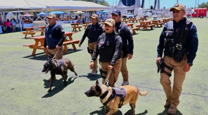 San Andrés Cholula reporta saldo blanco en el Festival Equinoccio 2026