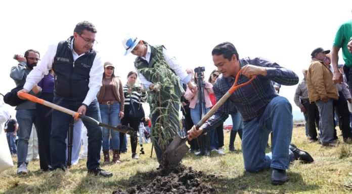 Pável Gaspar encabeza jornada de reforestación y limpieza en Chignahuapan