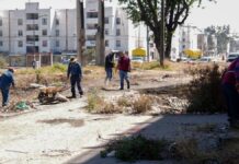 Intervienen más de 460 mil metros cuadrados con poda en Puebla capital