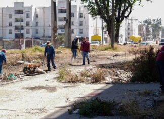 Intervienen más de 460 mil metros cuadrados con poda en Puebla capital