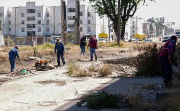 Intervienen más de 460 mil metros cuadrados con poda en Puebla capital