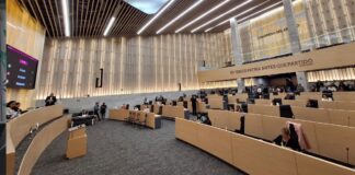 Proponen talleres de Lengua de Señas Mexicana para estudiantes de primaria