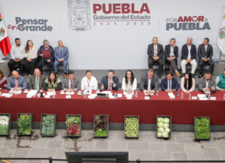 Puebla, segundo lugar mundial en tecnificación del campo