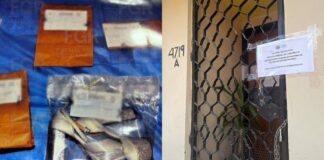 Confirman trata de personas en San Baltazar Campeche; rescatan a dos colombianas