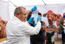 Jornada contra Gusano Barrenador recorre municipios de la Sierra Negra