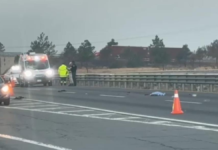 Hombre muere al ser arrollado en la autopista Puebla-Orizaba