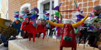 Ariadna Ayala invita a evento para promover artesanías locales