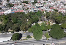 Preocupa a IBERO Puebla remoción de árboles por Cablebús