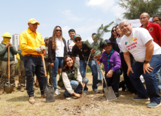 Siembran 147 árboles en el CIS para fortalecer bosque urbano