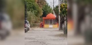Ataque de abejas deja un hombre grave y cinco lesionados en Tochtepec