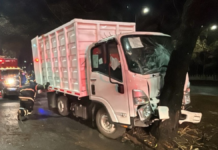 Camión de limpia choca contra árbol en CDMX y deja 12 lesionados