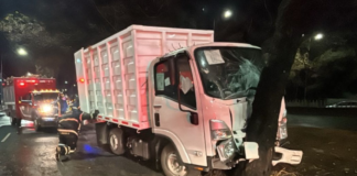 Camión de limpia choca contra árbol en CDMX y deja 12 lesionados