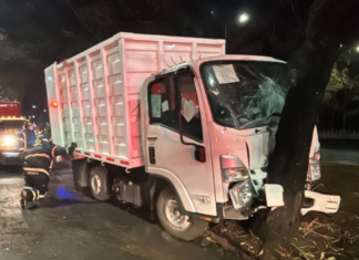 Camión de limpia choca contra árbol en CDMX y deja 12 lesionados