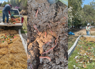 Instalan proyecto de lombricomposta en el Parque Laguna de Chapulco