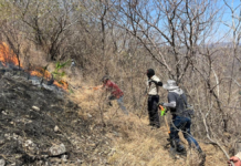 Controlan y liquidan al 100% incendio forestal en Jolalpan