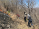 Controlan y liquidan al 100% incendio forestal en Jolalpan