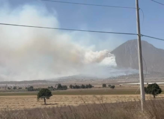 Incendio forestal se sale de control en Tlachichuca
