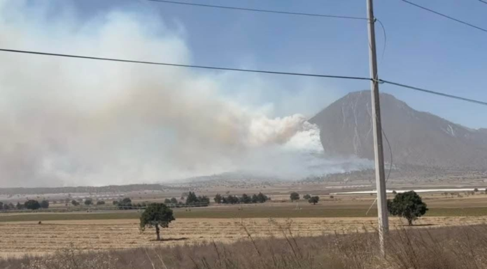 Incendio forestal se sale de control en Tlachichuca