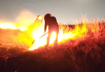 Controlan incendio superficial en el Cerro Zapotecas de Cholula