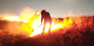 Controlan incendio superficial en el Cerro Zapotecas de Cholula