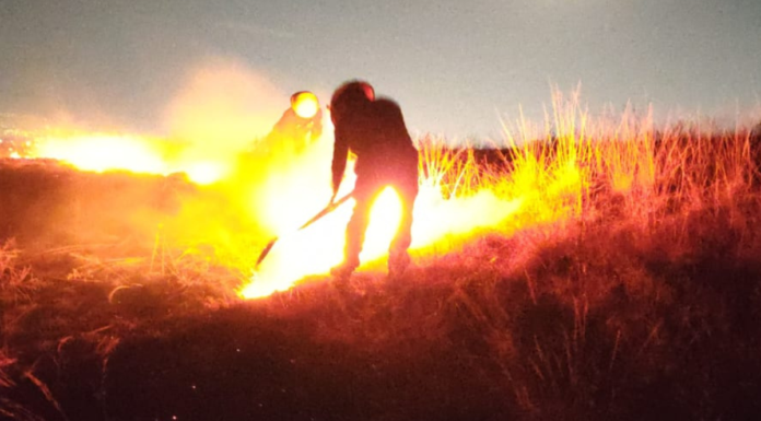Controlan incendio superficial en el Cerro Zapotecas de Cholula