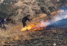 Controlan cuatro incendios forestales en Puebla, Tepatlaxco y Tlachichuca