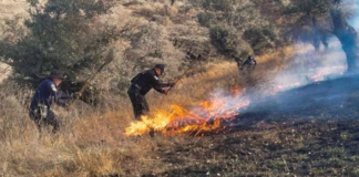 Controlan cuatro incendios forestales en Puebla, Tepatlaxco y Tlachichuca
