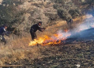 Controlan cuatro incendios forestales en Puebla, Tepatlaxco y Tlachichuca