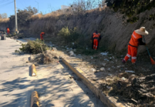 Realizan jornada de limpieza y mantenimiento en el Bulevar Carmelitas