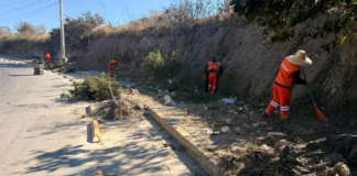 Realizan jornada de limpieza y mantenimiento en el Bulevar Carmelitas
