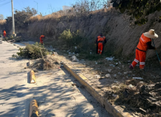 Realizan jornada de limpieza y mantenimiento en el Bulevar Carmelitas