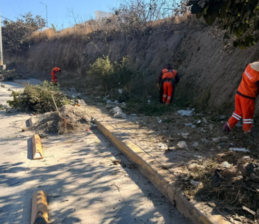 Realizan jornada de limpieza y mantenimiento en el Bulevar Carmelitas