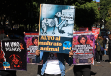 Exigen justicia para mujer agredida al defender perros en Puebla