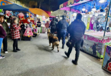 Operativo “Feria Segura” mantiene saldo blanco en Sanctorum