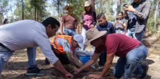 Puebla proyecta plantar más de 100 mil árboles y plantas en 2026