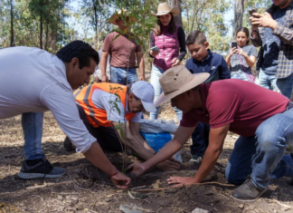 Puebla proyecta plantar más de 100 mil árboles y plantas en 2026