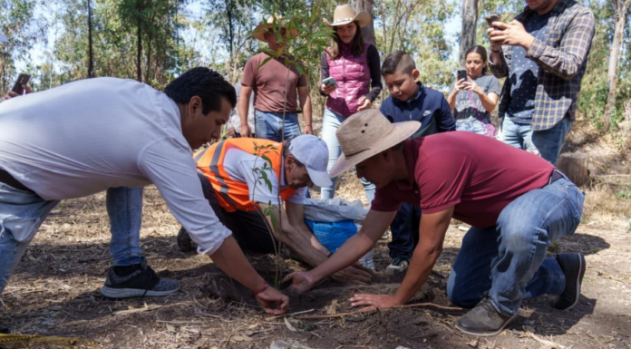 Puebla proyecta plantar más de 100 mil árboles y plantas en 2026