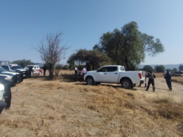 Frustran robo de vehículo en General Felipe Ángeles; hay un detenido