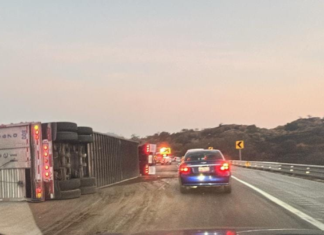 Vuelca tráiler con 70 reses en la autopista México-Puebla