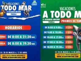 Aventúrate en Acuario Michin Puebla este periodo vacacional