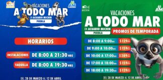 Aventúrate en Acuario Michin Puebla este periodo vacacional